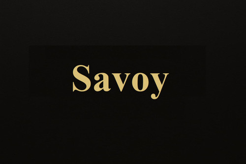 محصولات ساووی (Savoy) سیستم صوتی خودرو