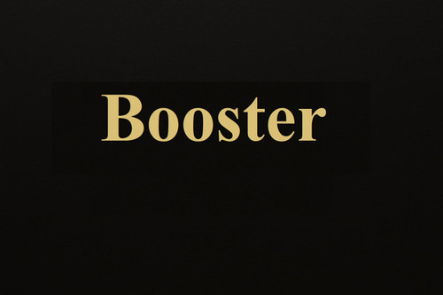 محصولات بوستر (Booster) سیستم صوتی خودرو