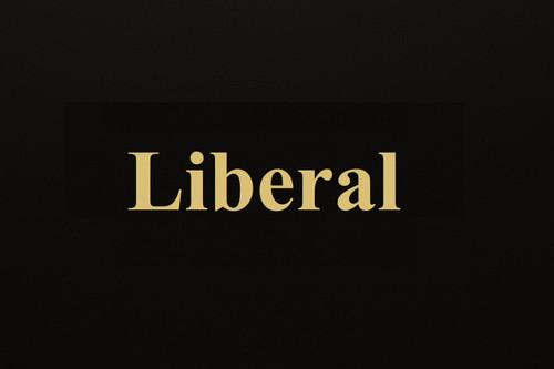 محصولات لیبرال(LIBERAL) سیستم صوتی خودرو