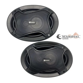 بلندگو بیضی ساندیا مدل SP-6910